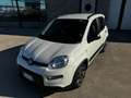 Fiat Panda 1.0 firefly hybrid City Life 5 Posti Prezzo Promo! Weiß - thumbnail 2