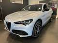 Alfa Romeo Stelvio 2.2 Turbo Veloce Gris - thumbnail 1