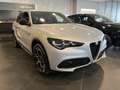 Alfa Romeo Stelvio 2.2 Turbo Veloce Gris - thumbnail 9