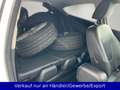 Ford Fiesta 1.0 EcoBoost Individual Sport Leder ST Weiß - thumbnail 12
