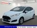 Ford Fiesta 1.0 EcoBoost Individual Sport Leder ST Weiß - thumbnail 1