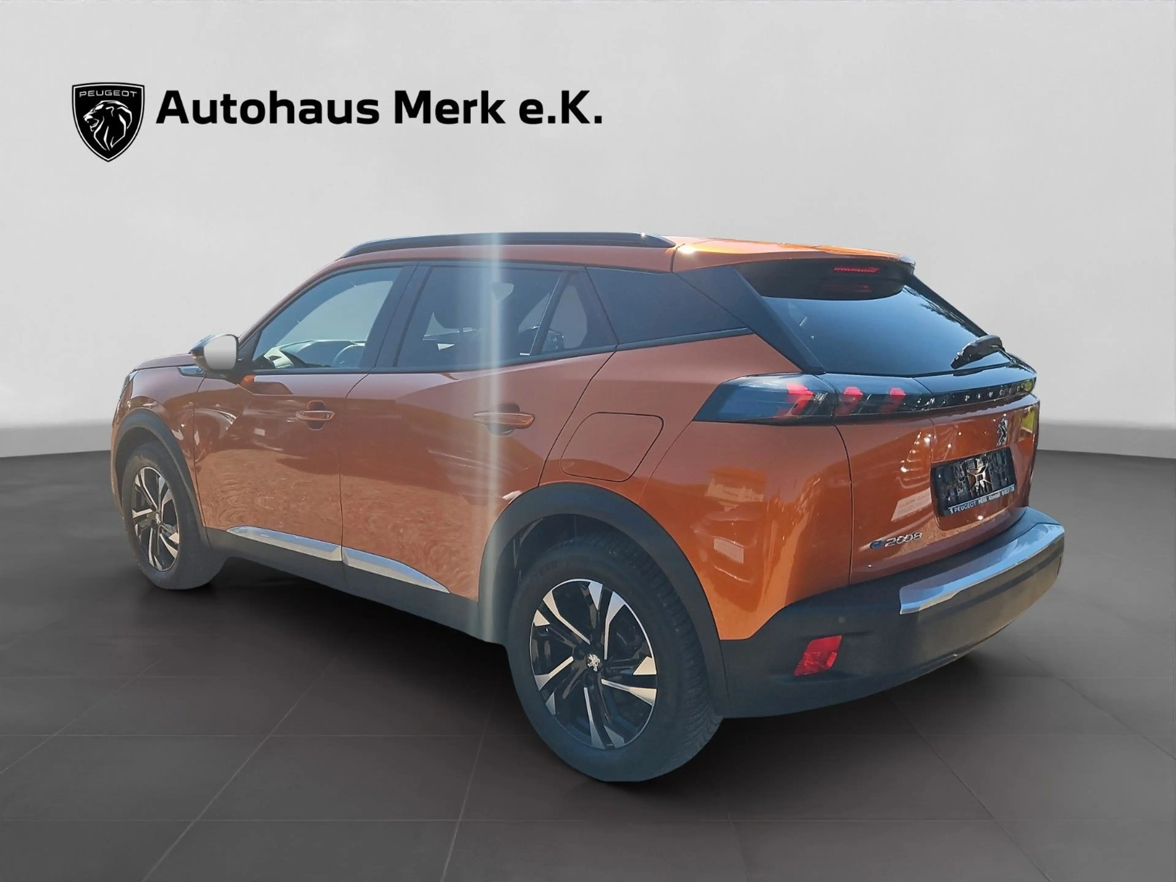 Peugeot 2008 e- Allure, Navi — photo 3