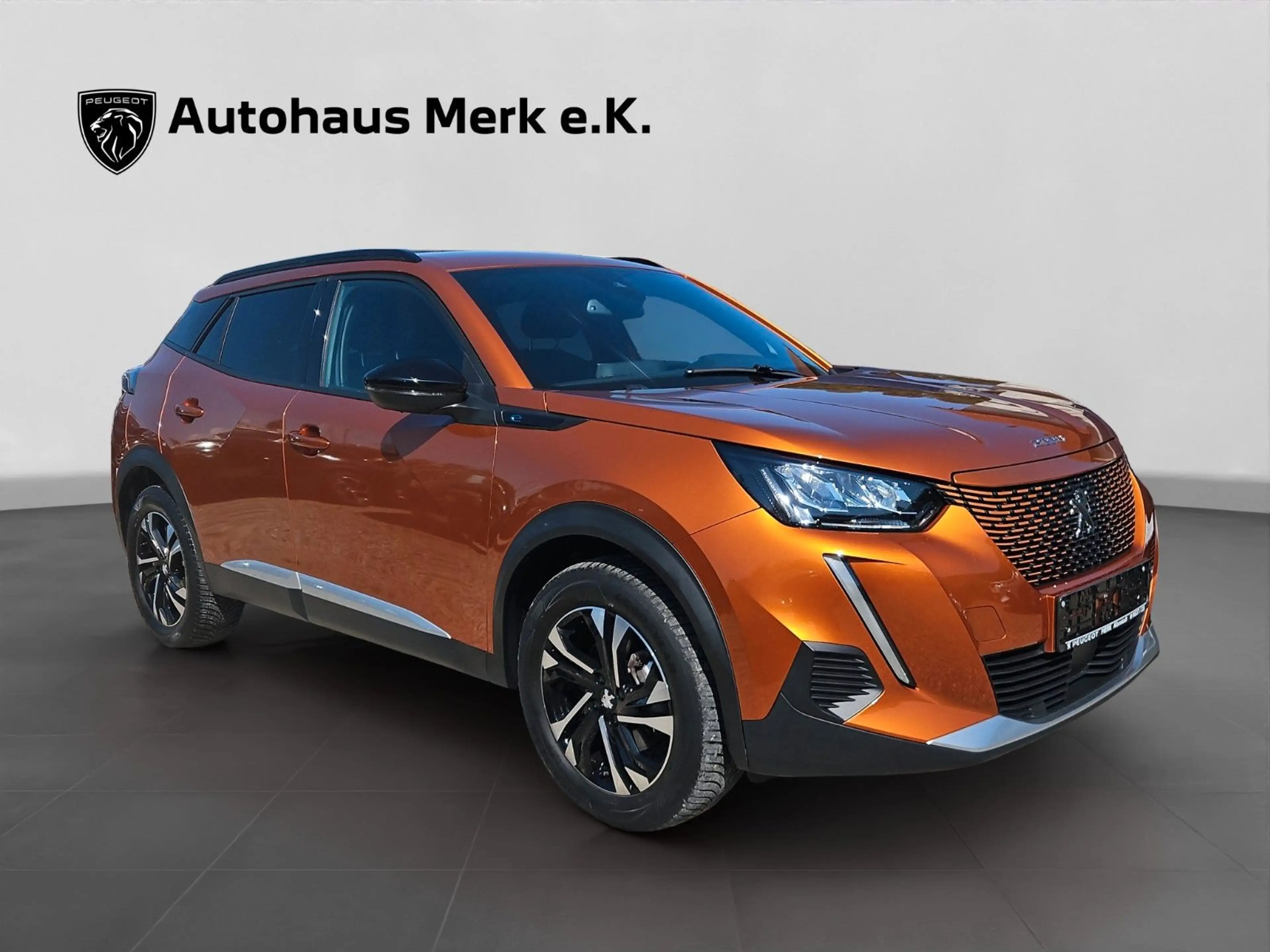 Peugeot 2008 e- Allure, Navi — photo 7