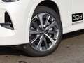 Mazda CX-80 2.5L PLUG-IN HYBRID 8AT AWD TAKUMI PLUS 8-fach ber Alb - thumbnail 10