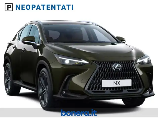 Lexus NX view 2