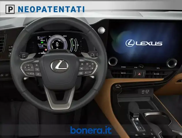 Lexus NX view 5