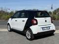 smart forFour 1.0 Youngster 71cv Uff. ok per Neopatentati Blanc - thumbnail 12