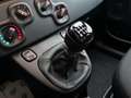 Fiat Panda 1.0 firefly hybrid s&s 70cv ROTTAMAZIONE E012 Nero - thumbnail 16