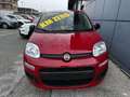 Fiat Panda 1.0 firefly hybrid s&s 70cv ROTTAMAZIONE E012 Nero - thumbnail 2