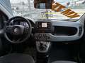 Fiat Panda 1.0 firefly hybrid s&s 70cv ROTTAMAZIONE E012 Nero - thumbnail 19