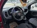 Fiat Panda 1.0 firefly hybrid s&s 70cv ROTTAMAZIONE E012 Nero - thumbnail 9