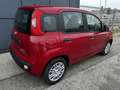 Fiat Panda 1.0 firefly hybrid s&s 70cv ROTTAMAZIONE E012 Nero - thumbnail 4