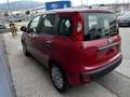 Fiat Panda 1.0 firefly hybrid s&s 70cv ROTTAMAZIONE E012 Nero - thumbnail 5