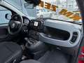 Fiat Panda 1.0 firefly hybrid s&s 70cv ROTTAMAZIONE E012 Nero - thumbnail 20