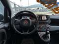 Fiat Panda 1.0 firefly hybrid s&s 70cv ROTTAMAZIONE E012 Nero - thumbnail 17