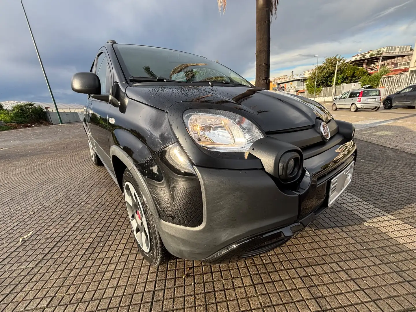 Fiat Panda 1.0 FireFly S&S Hybrid City Cross Nero - 2