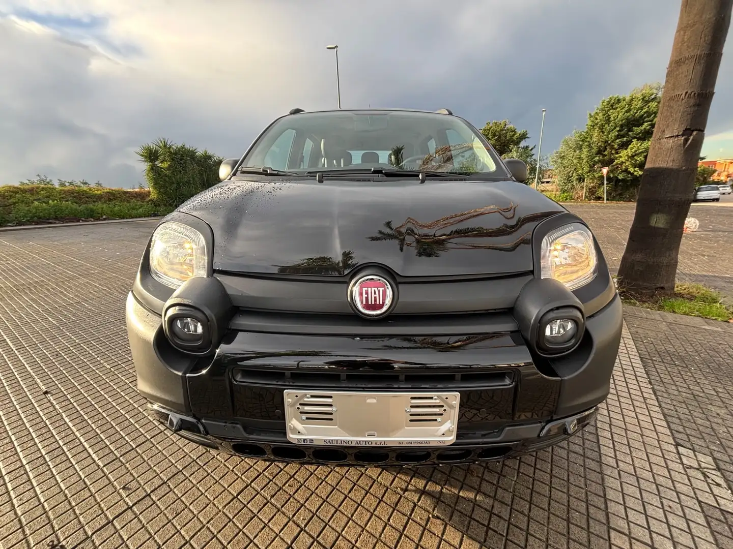 Fiat Panda 1.0 FireFly S&S Hybrid City Cross Nero - 1