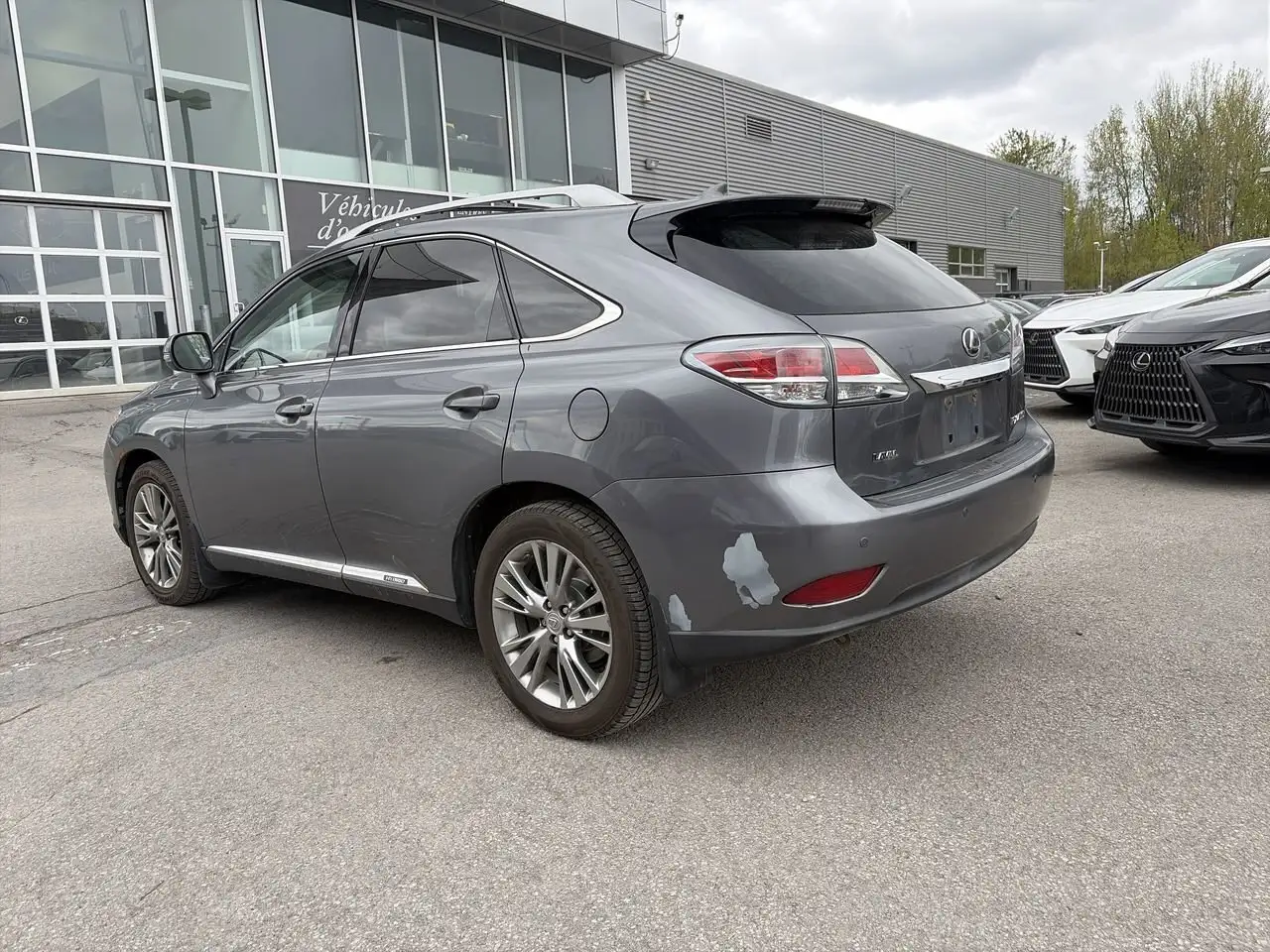 Lexus RX снимка Lexus RX
