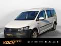 Volkswagen Caddy TDI 75 kw Klima PDC Weiß - thumbnail 1