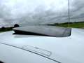 Porsche Panamera Platinum 5drs Automaat, Panorama/Opendak, Xenon ve Wit - thumbnail 25