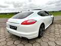 Porsche Panamera 3.0 D Platinum Edition 5D Automaat, Panoramadak Fu Weiß - thumbnail 8