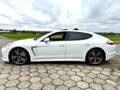 Porsche Panamera Platinum 5drs Automaat, Panorama/Opendak, Xenon ve Wit - thumbnail 5