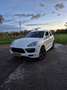 Porsche Cayenne 4.8 Turbo 500 PK Wit - thumbnail 1