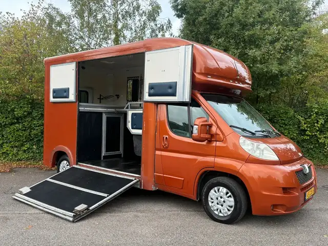 Peugeot Boxer 3.0 Pferdewagen Horsetruck Transporter