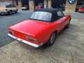 Alfa Romeo Spider Spider 2000 Veloce Fastback Roşu - thumbnail 14