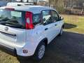 Fiat Panda Pandina Cross Weiß - thumbnail 6