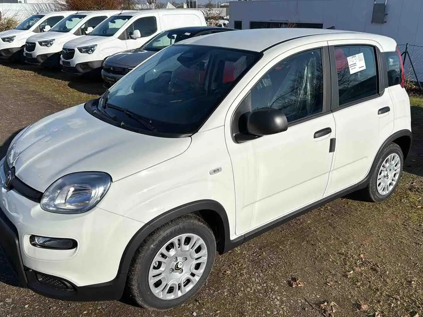 Fiat Panda Pandina Cross Weiß - 2