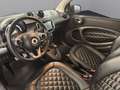smart forTwo Coupé 66 Ushuaïa Limited Edition Aut. Negro - thumbnail 11
