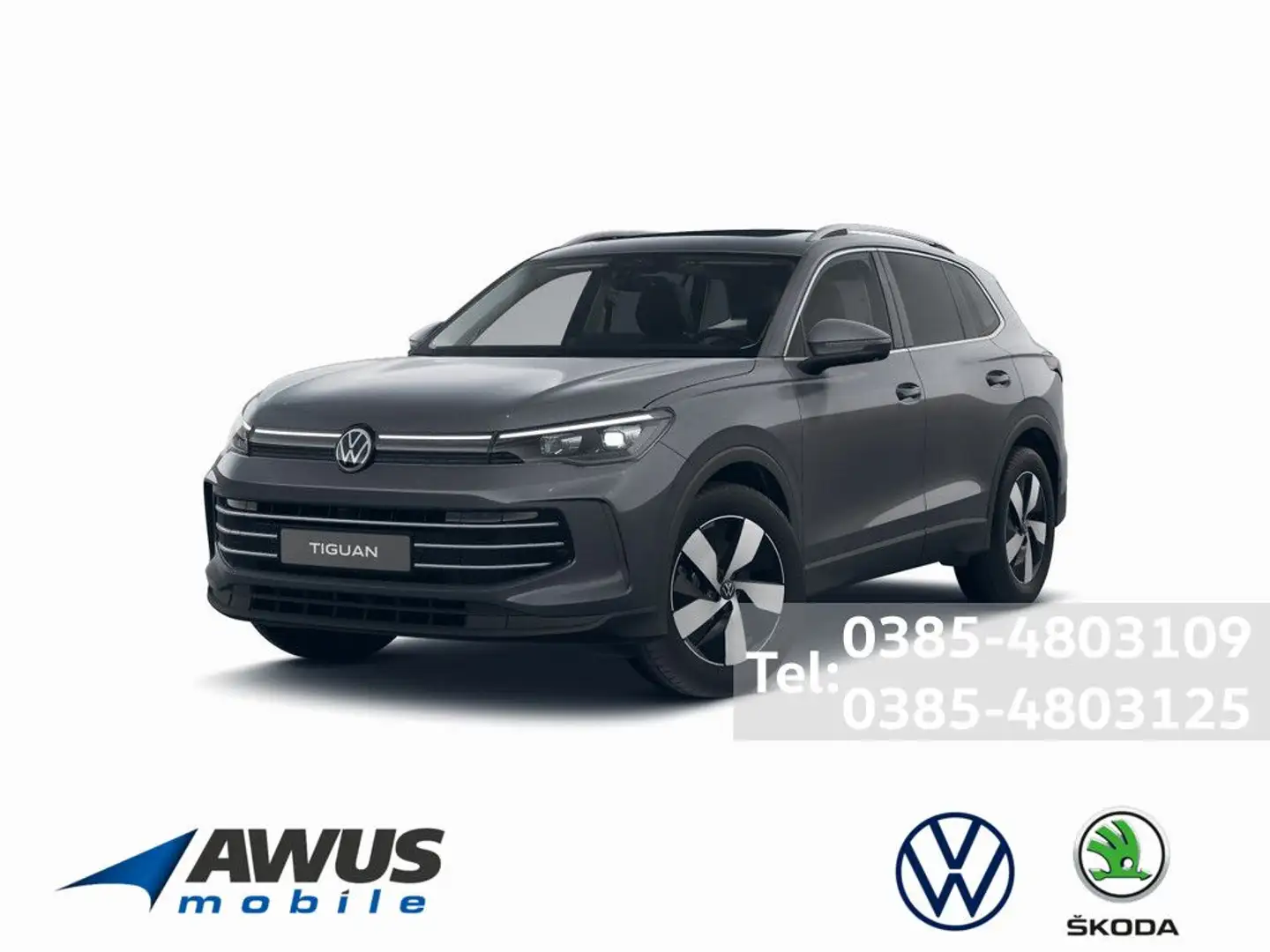 Volkswagen Tiguan 2.0TDI DSG 4Motion Elegance AHK Grau - 1