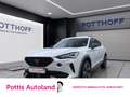 CUPRA Formentor 1.5 TSI PDC NAVI LED ACC AHK LM18 Weiß - thumbnail 1