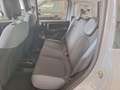 Fiat Panda 1.2 Easy Gpl Grigio - thumbnail 7