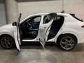 Alfa Romeo Tonale 1.5 MHEV GASOLINA 160 CV VELOCE VGT FWD Blanco - thumbnail 5