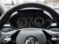 Skoda Fabia 1.0 MPI Tour GRA PDC SHZ SMARTLINK ISOF Blau - thumbnail 11