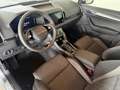 Skoda Karoq Selection 4x4 TDI DSG Grau - thumbnail 8