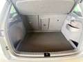 Skoda Karoq Selection 4x4 TDI DSG Grau - thumbnail 12