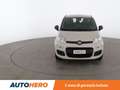 Fiat Panda 1.2 Easy Beige - thumbnail 9