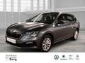 Skoda Scala Selection 1.0 TSI LED Apple CarPlay Android Auto K Grau - thumbnail 1