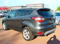 Ford Kuga 4WD Titanium.Teilleder.Kamera.AHK Grau - thumbnail 6