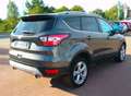 Ford Kuga 4WD Titanium.Teilleder.Kamera.AHK Grau - thumbnail 4