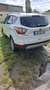 Ford Kuga Trend Weiß - thumbnail 3