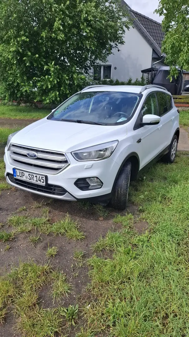 Ford Kuga Trend Weiß - 1