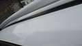 Ford Kuga Trend Weiß - thumbnail 7