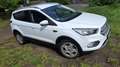 Ford Kuga Trend Weiß - thumbnail 2