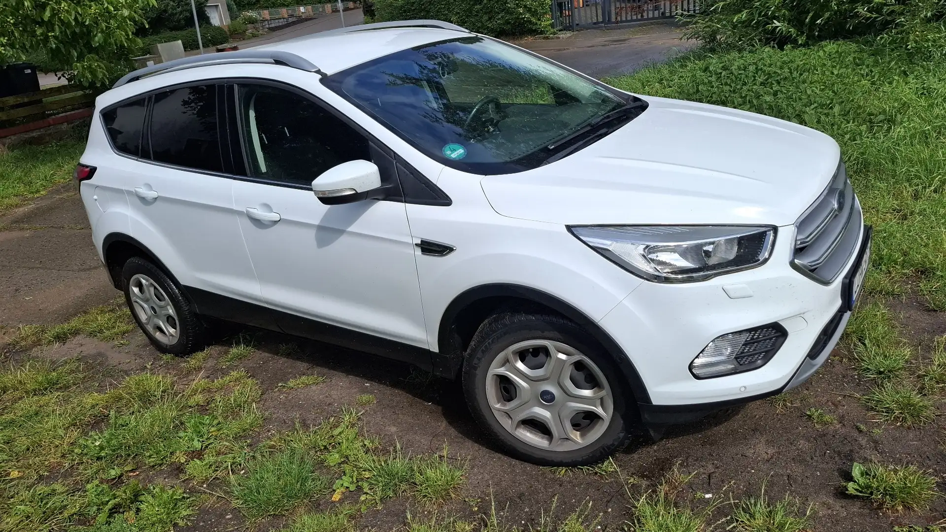 Ford Kuga Trend Weiß - 2