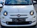 Fiat 500 ECO 1,2 69 Anniversario | Sondermodell | 89.000... - thumbnail 3