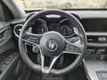Alfa Romeo Stelvio 2.2 t Business rwd 180cv auto Rot - thumbnail 10